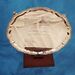 <Barratt Trophy